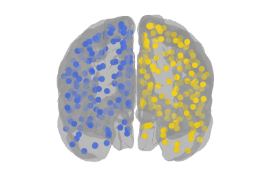 Network nodes coloured by hemisphere